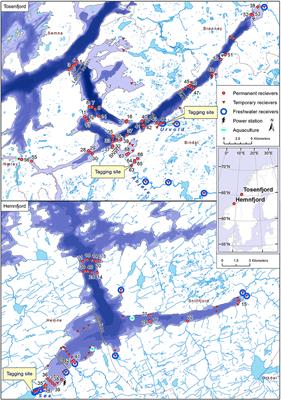 Individual Repeatability in Marine Migratory Behavior: A Multi-Population Assessment of Anadromous Brown Trout Tracked Through Consecutive Feeding Migrations